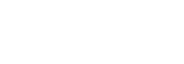 Google Partner
