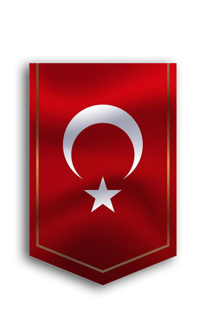 Türkçe